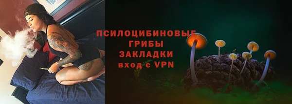 хмурый Вязьма