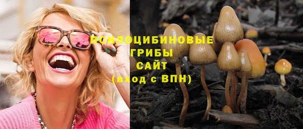 хмурый Вязьма
