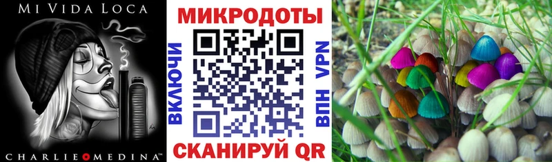 купить   нарко площадка как зайти  Галлюциногенные грибы прущие грибы  Певек 